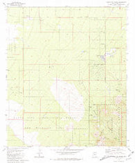 Corona De Tucson Arizona Historical topographic map, 1:24000 scale, 7.5 X 7.5 Minute, Year 1981