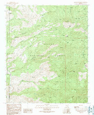 Coronado Mountain Arizona Historical topographic map, 1:24000 scale, 7.5 X 7.5 Minute, Year 1989
