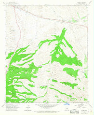 Cutter Arizona Historical topographic map, 1:24000 scale, 7.5 X 7.5 Minute, Year 1966
