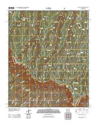 Dane Canyon Arizona Historical topographic map, 1:24000 scale, 7.5 X 7.5 Minute, Year 2011