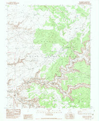 Del Muerto Arizona Historical topographic map, 1:24000 scale, 7.5 X 7.5 Minute, Year 1982