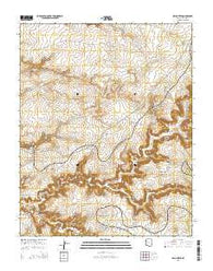 Del Muerto Arizona Current topographic map, 1:24000 scale, 7.5 X 7.5 Minute, Year 2014