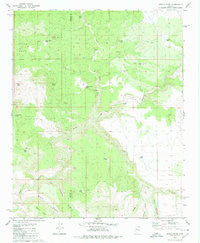 Devils Hump Arizona Historical topographic map, 1:24000 scale, 7.5 X 7.5 Minute, Year 1980