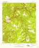 Diamond Butte Arizona Historical topographic map, 1:62500 scale, 15 X 15 Minute, Year 1937