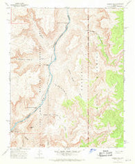 Diamond Peak Arizona Historical topographic map, 1:24000 scale, 7.5 X 7.5 Minute, Year 1967