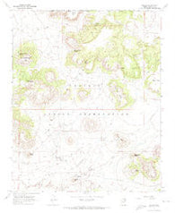 Dilkon Arizona Historical topographic map, 1:24000 scale, 7.5 X 7.5 Minute, Year 1967