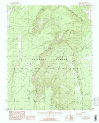 Dog Point Arizona Historical topographic map, 1:24000 scale, 7.5 X 7.5 Minute, Year 1988