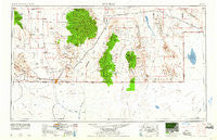 Douglas Arizona Historical topographic map, 1:250000 scale, 1 X 2 Degree, Year 1961