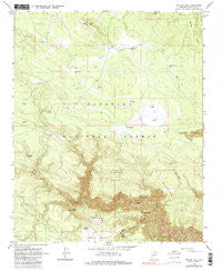 Dutton Hill Arizona Historical topographic map, 1:24000 scale, 7.5 X 7.5 Minute, Year 1963