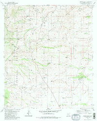 Empire Ranch Arizona Historical topographic map, 1:24000 scale, 7.5 X 7.5 Minute, Year 1981