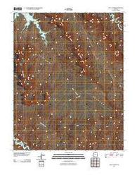 Face Canyon Arizona Historical topographic map, 1:24000 scale, 7.5 X 7.5 Minute, Year 2011