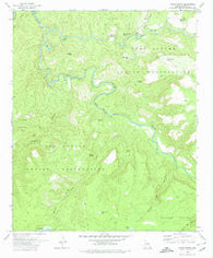 Forks Butte Arizona Historical topographic map, 1:24000 scale, 7.5 X 7.5 Minute, Year 1978