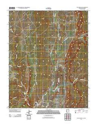 Fort Defiance Arizona Historical topographic map, 1:24000 scale, 7.5 X 7.5 Minute, Year 2011