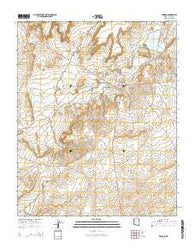 Ganado Arizona Current topographic map, 1:24000 scale, 7.5 X 7.5 Minute, Year 2014
