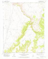 Ganado Mesa Arizona Historical topographic map, 1:24000 scale, 7.5 X 7.5 Minute, Year 1972