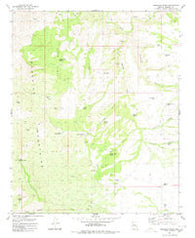Gonzales Wash Arizona Historical topographic map, 1:24000 scale, 7.5 X 7.5 Minute, Year 1980