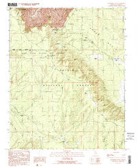 Grandview Point Arizona Historical topographic map, 1:24000 scale, 7.5 X 7.5 Minute, Year 1989