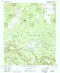 Horseshoe Cienega Arizona Historical topographic map, 1:24000 scale, 7.5 X 7.5 Minute, Year 1978