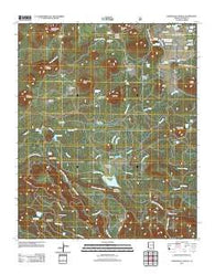 Horseshoe Cienega Arizona Historical topographic map, 1:24000 scale, 7.5 X 7.5 Minute, Year 2011