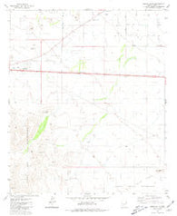 Indian Butte Arizona Historical topographic map, 1:24000 scale, 7.5 X 7.5 Minute, Year 1981