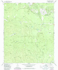 Indian Pine Arizona Historical topographic map, 1:24000 scale, 7.5 X 7.5 Minute, Year 1977