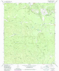 Indian Pine Arizona Historical topographic map, 1:24000 scale, 7.5 X 7.5 Minute, Year 1977