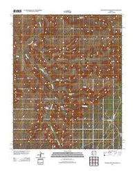 Toenleshushe Canyon Arizona Historical topographic map, 1:24000 scale, 7.5 X 7.5 Minute, Year 2011