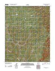 Joe Woody Well Arizona Historical topographic map, 1:24000 scale, 7.5 X 7.5 Minute, Year 2011