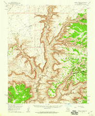 Jumpup Canyon Arizona Historical topographic map, 1:62500 scale, 15 X 15 Minute, Year 1957