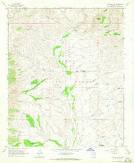 Kayler Butte Arizona Historical topographic map, 1:24000 scale, 7.5 X 7.5 Minute, Year 1964