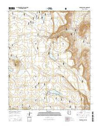 Kinnikinick Lake Arizona Current topographic map, 1:24000 scale, 7.5 X 7.5 Minute, Year 2014
