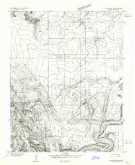 Lees Ferry NE Arizona Historical topographic map, 1:24000 scale, 7.5 X 7.5 Minute, Year 1951