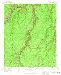 Leonard Canyon Arizona Historical topographic map, 1:24000 scale, 7.5 X 7.5 Minute, Year 1965
