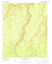 Leonard Canyon Arizona Historical topographic map, 1:24000 scale, 7.5 X 7.5 Minute, Year 1965