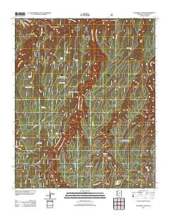 Leonard Canyon Arizona Historical topographic map, 1:24000 scale, 7.5 X 7.5 Minute, Year 2011