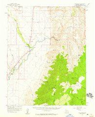 Littlefield Arizona Historical topographic map, 1:62500 scale, 15 X 15 Minute, Year 1954