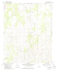 Lizard Point Arizona Historical topographic map, 1:24000 scale, 7.5 X 7.5 Minute, Year 1979