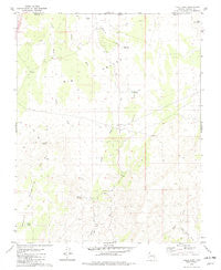 Lizard Point Arizona Historical topographic map, 1:24000 scale, 7.5 X 7.5 Minute, Year 1979