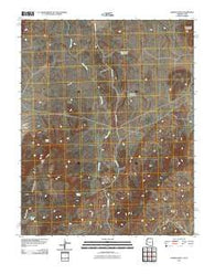 Lizard Point Arizona Historical topographic map, 1:24000 scale, 7.5 X 7.5 Minute, Year 2011