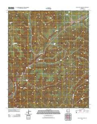 Long Tom Canyon Arizona Historical topographic map, 1:24000 scale, 7.5 X 7.5 Minute, Year 2011