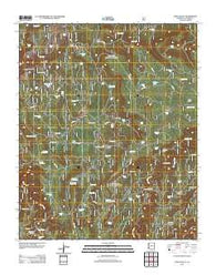 Long Valley Arizona Historical topographic map, 1:24000 scale, 7.5 X 7.5 Minute, Year 2011