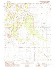 Lost Spring Mountain East Arizona Historical topographic map, 1:24000 scale, 7.5 X 7.5 Minute, Year 1988