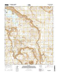 Lyman Lake Arizona Current topographic map, 1:24000 scale, 7.5 X 7.5 Minute, Year 2014