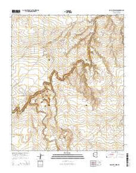 McCauley Sinks Arizona Current topographic map, 1:24000 scale, 7.5 X 7.5 Minute, Year 2014