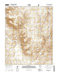 Metzger Tank Arizona Current topographic map, 1:24000 scale, 7.5 X 7.5 Minute, Year 2014