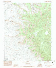 Mexican Cry Mesa Arizona Historical topographic map, 1:24000 scale, 7.5 X 7.5 Minute, Year 1982