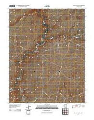Mexican Water Arizona Historical topographic map, 1:24000 scale, 7.5 X 7.5 Minute, Year 2011