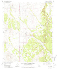 Mixon Tank Arizona Historical topographic map, 1:24000 scale, 7.5 X 7.5 Minute, Year 1981