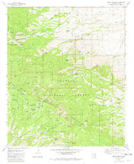 Mount Bigelow Arizona Historical topographic map, 1:24000 scale, 7.5 X 7.5 Minute, Year 1981