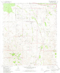 Mount Fagan Arizona Historical topographic map, 1:24000 scale, 7.5 X 7.5 Minute, Year 1981